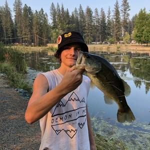 Meet your Posher, Logan